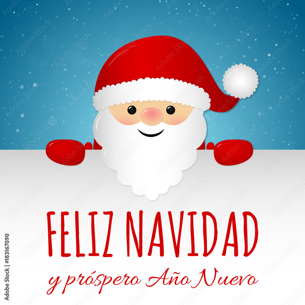 Merry Christmas in Spanish (Feliz Navidad) - concept of card with decoration. Vector. Stock Vector