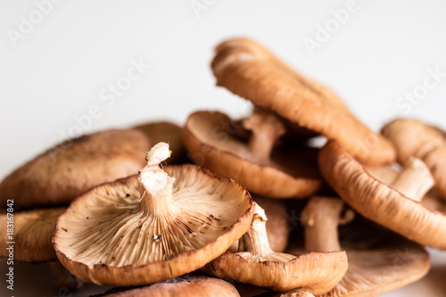 Fresh mushrooms ki ki on a white kitchen table.