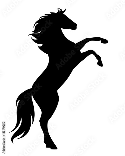 rearing up black mustang  - standing horse side view vector silhouette