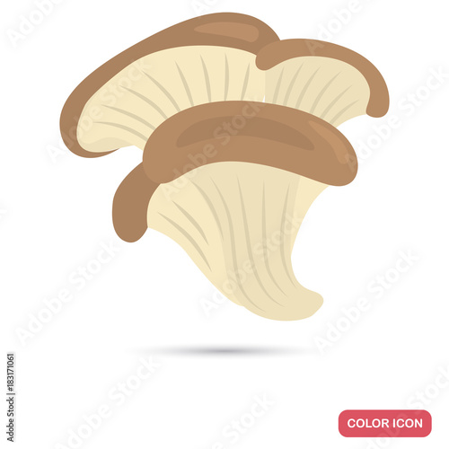 Oyster mushrooms color flat icon for web and mobile design