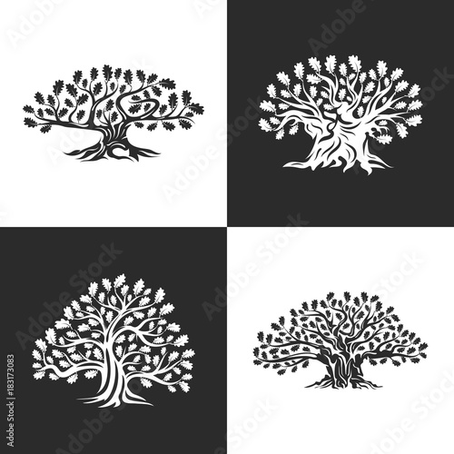 Huge and sacred oak tree silhouette logo isolated on background. Modern vector national tradition green plant icon sign design set.
Premium quality organic logotype flat emblem illustration.