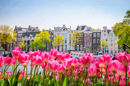 Photography Traditional old buildings and tulips in Amsterdam, Netherlands