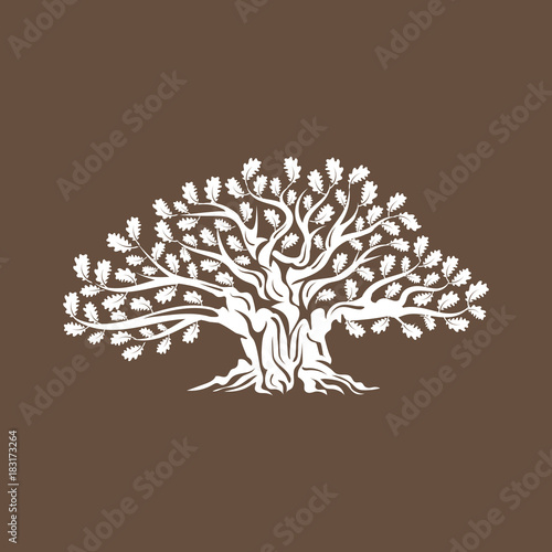 Huge and sacred oak tree silhouette logo badge isolated on brown background. Modern vector national tradition green plant icon sign design. 
Premium quality organic logotype flat emblem illustration.