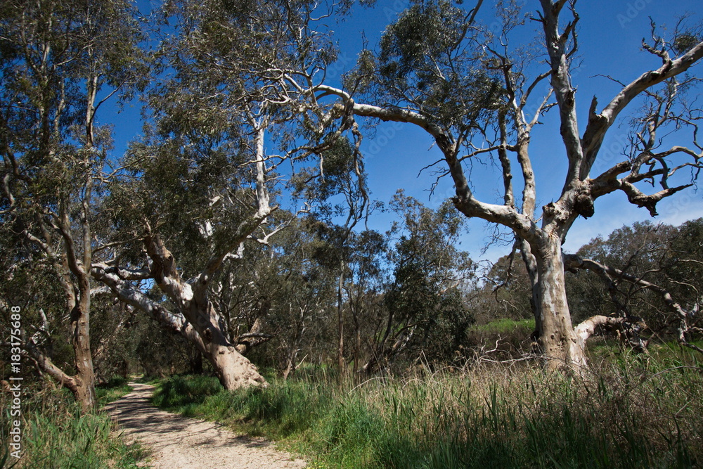 Fototapeta premium River Heritage & Wetlands Trail at Sale