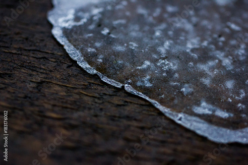 Background of ice and tree