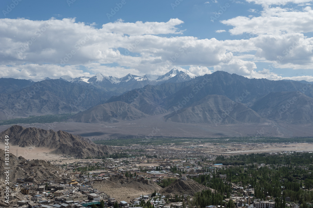 mountain view leh