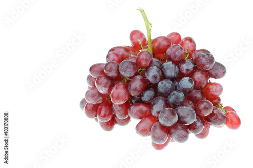 Wallpaper Mural grape  on white background Torontodigital.ca
