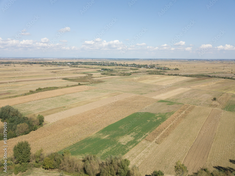 Field from above