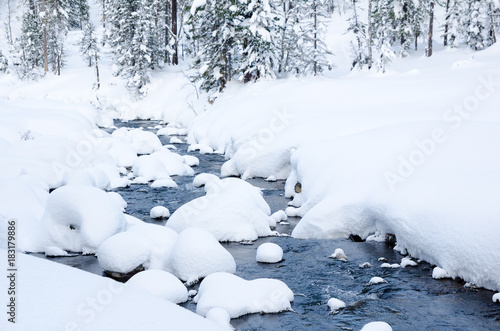winter forest river