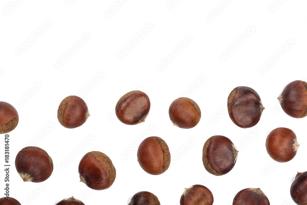 chestnut isolated on white background with copy space for your text. Top view. Flat lay chestnut isolated on white background with copy space for your text. Top view. Flat lay