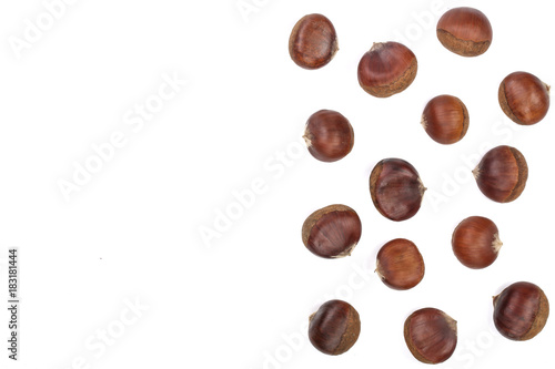 chestnut isolated on white background with copy space for your text. Top view. Flat lay
