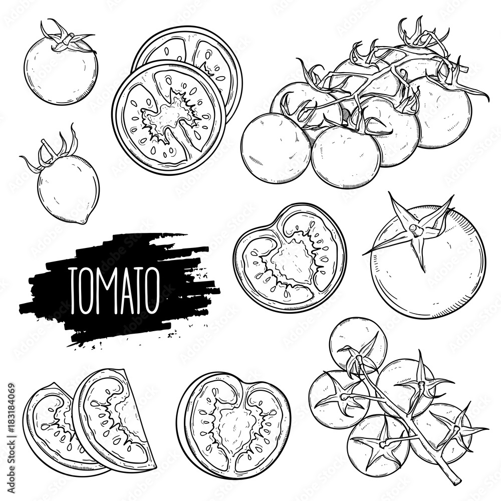 Hand drawn tomato set. Tomatoes, slices, halves, cherry tomatoes and bunch isolated on white background. Outline ink slyle sketch. Vector coloring illustration. Hand drawn tomato set. Tomatoes, slices, halves, cherry tomatoes and bunch isolated on white background. Outline ink slyle sketch. Vector coloring illustration.