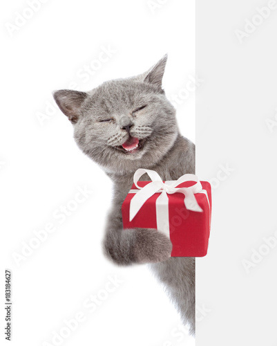 Happy cat  holding gift box and peeking above white banner. isolated on white background