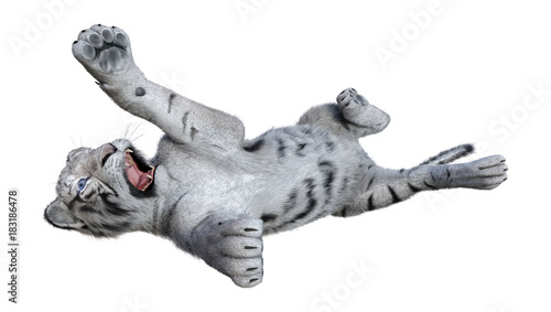 Fototapeta Naklejka Na Ścianę i Meble -  3D Rendering White Tiger on White