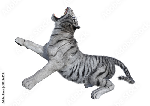 Fototapeta Naklejka Na Ścianę i Meble -  3D Rendering White Tiger on White