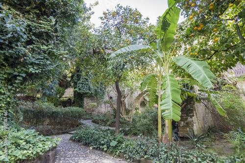 Il giardino Arabo della chiesa di San Giovanni degli Eremiti, città di Palermo IT