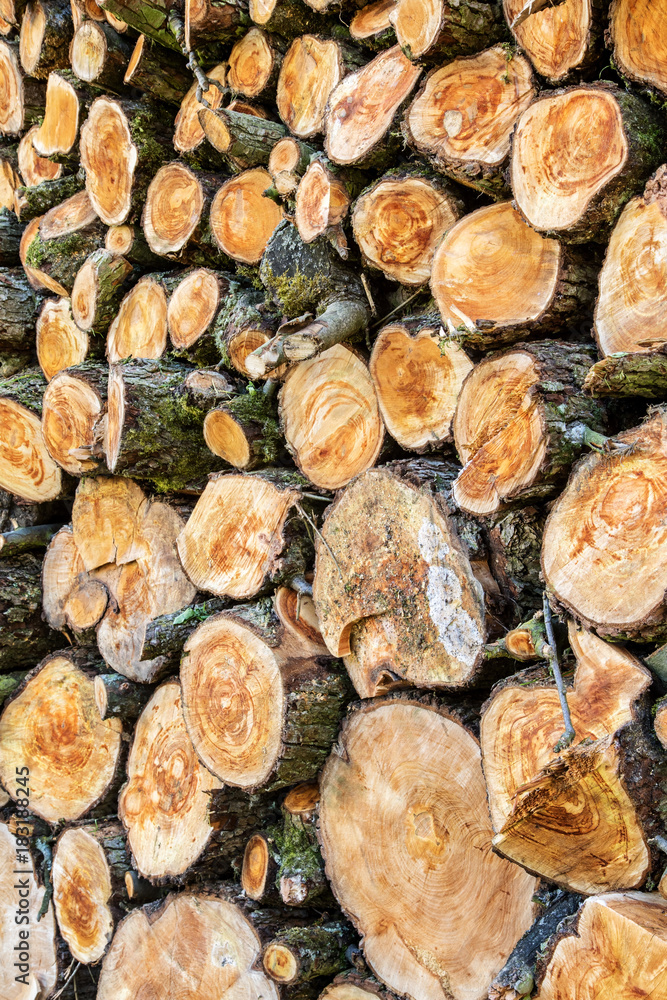 Heap of wood logs ready for winter. Stack of chopped firewood. A pile of woods in the house storage. Raw barked wood logs in a storage yard.