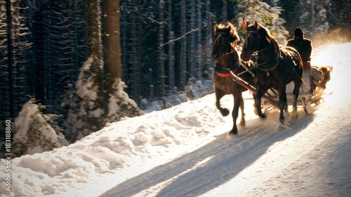 Sleigh ride in motion on the snowy forest