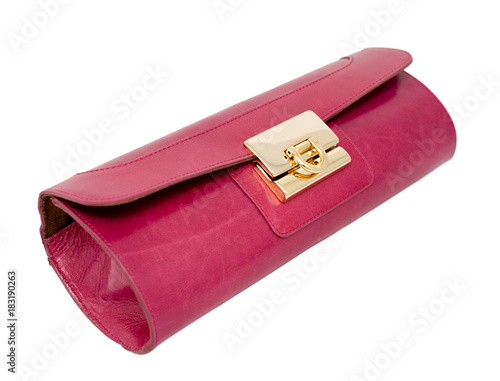 Obraz na plátně elegant ladies handbag