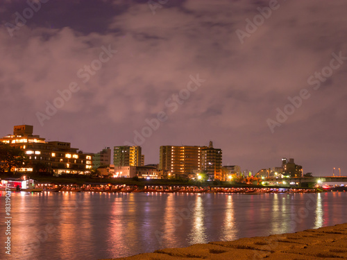長良川の鵜飼い