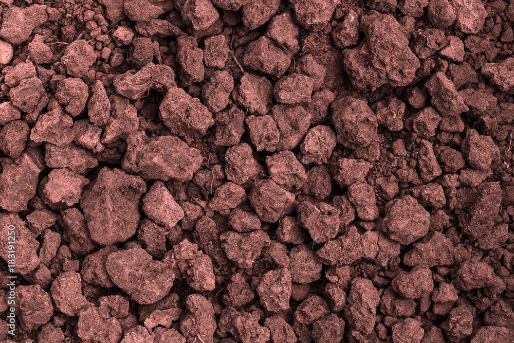 Closeup Soil texture brown background. Soil is a mixture of organic matter, minerals, gases, liquids, and organisms. it is a medium for plant growth, for use organic gardening, agriculture. Closeup Soil texture brown background. Soil is a mixture of organic matter, minerals, gases, liquids, and organisms. it is a medium for plant growth, for use organic gardening, agriculture.
