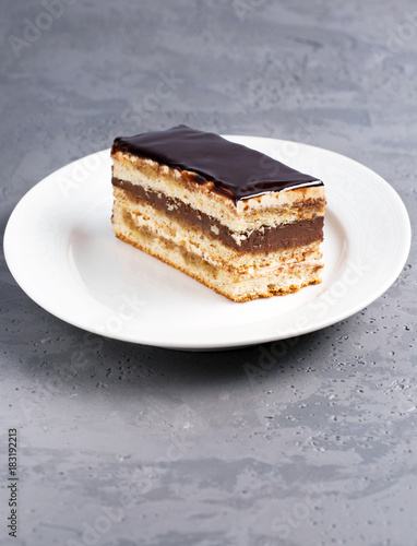 Cake Opera on a gray background, vertical, selective focus