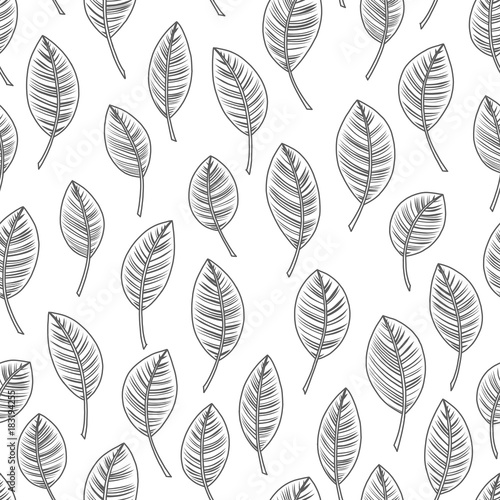 Seamless abstract nature background, hand draw