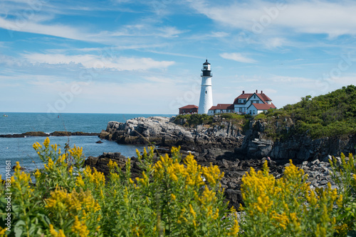 Flowers and Lighthouse