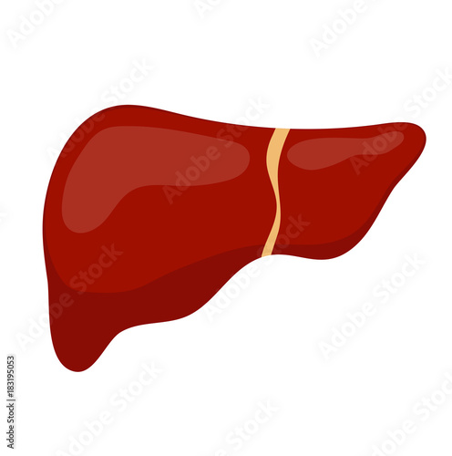 Liver icon, flat style. Internal organs of the human design element, logo. Anatomy, medicine concept. Healthcare. Isolated on white background. Vector illustration