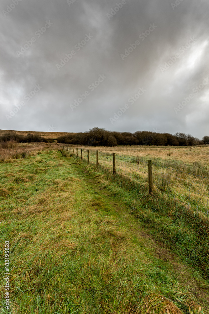 Nature scene of the Northern English moors