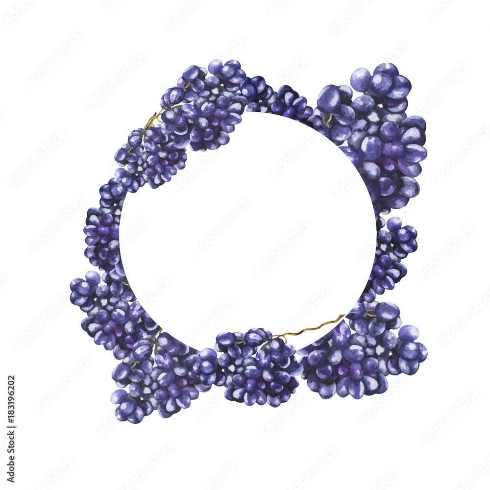 Fresh violet grape frame on white background. Design for logo, greeting card or invitation. Hand drawn watercolor illustration. Fresh violet grape frame on white background. Design for logo, greeting card or invitation. Hand drawn watercolor illustration.
