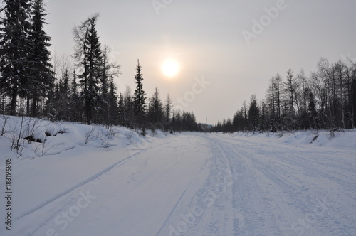 Winter evening landscape with snow, forest and cold sun. Frosty sundown