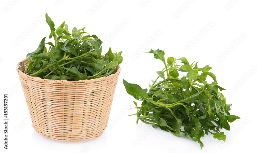 Fresh Watercress isolated on white background Fresh Watercress isolated on white background