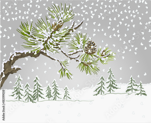 Winter landscape pine branches and cones needles and snow nature background vintage vector botanical illustration