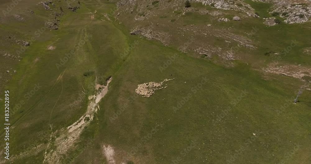 Aerial, green mountains, a flock of sheep on the huge meadow in summer in Italy, 4K Aerial, green mountains, a flock of sheep on the huge meadow in summer in Italy, 4K