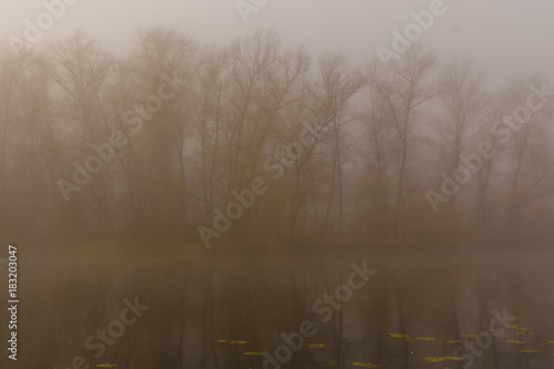 Fog above the surface of the water