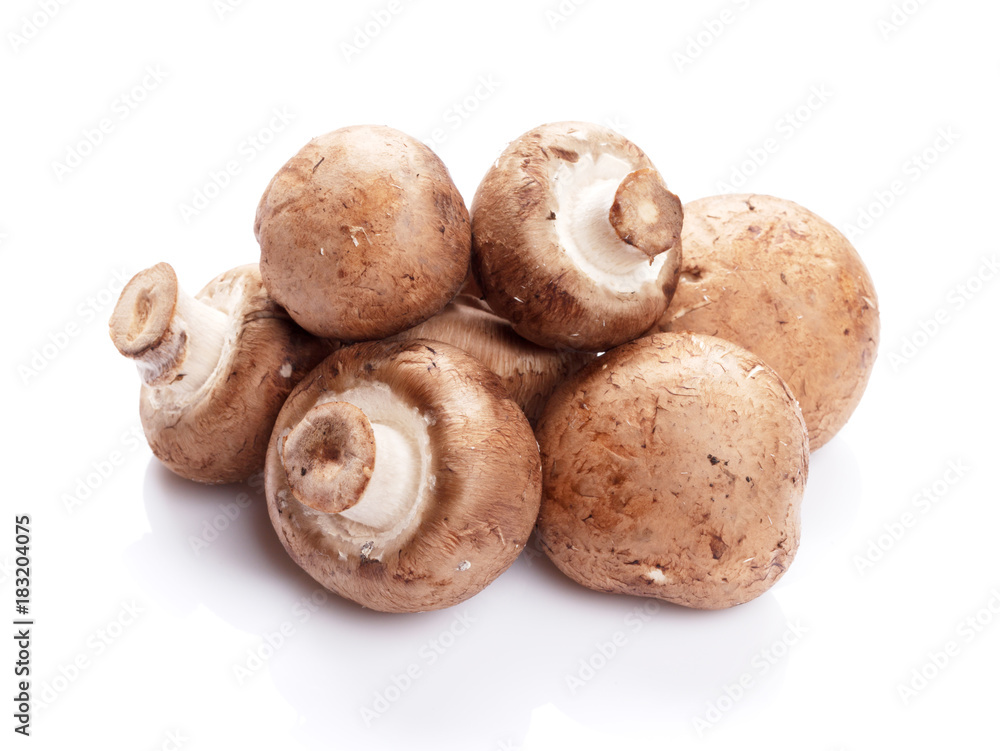 Champignon mushrooms Champignon mushrooms