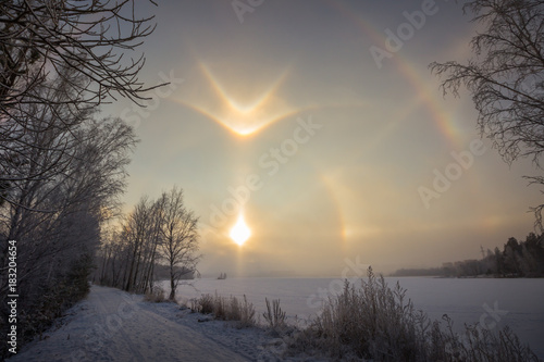 winter rainbow in russia in forest
