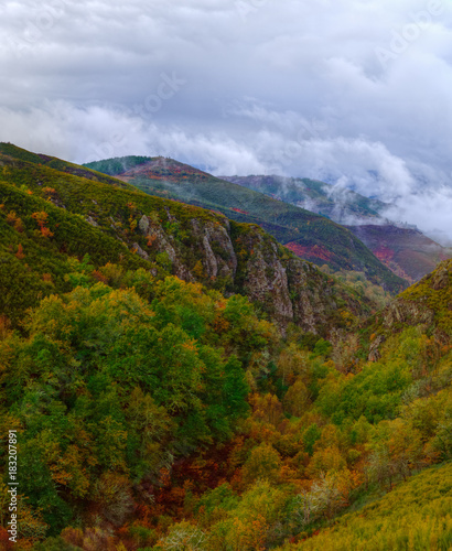 Nublada escenade otoño en la montaña