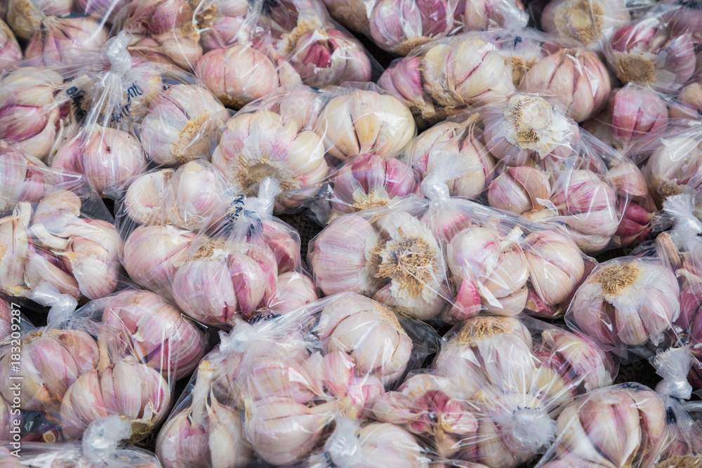 fresh garlics in a market fresh garlics in a market