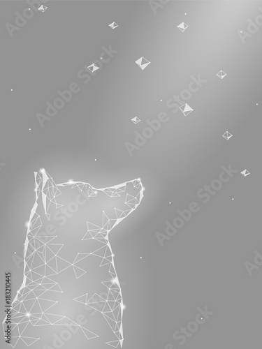 Happy New Chinese Year of dog. Laika sitting looking up sky geometric snowflakes stars night hope dream. Low poly polygonal triangle abstract greeting gray white card template. Vector illustration