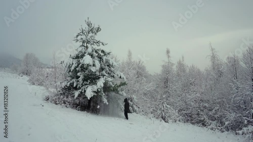 Man shake snow from tree - (4K) photo