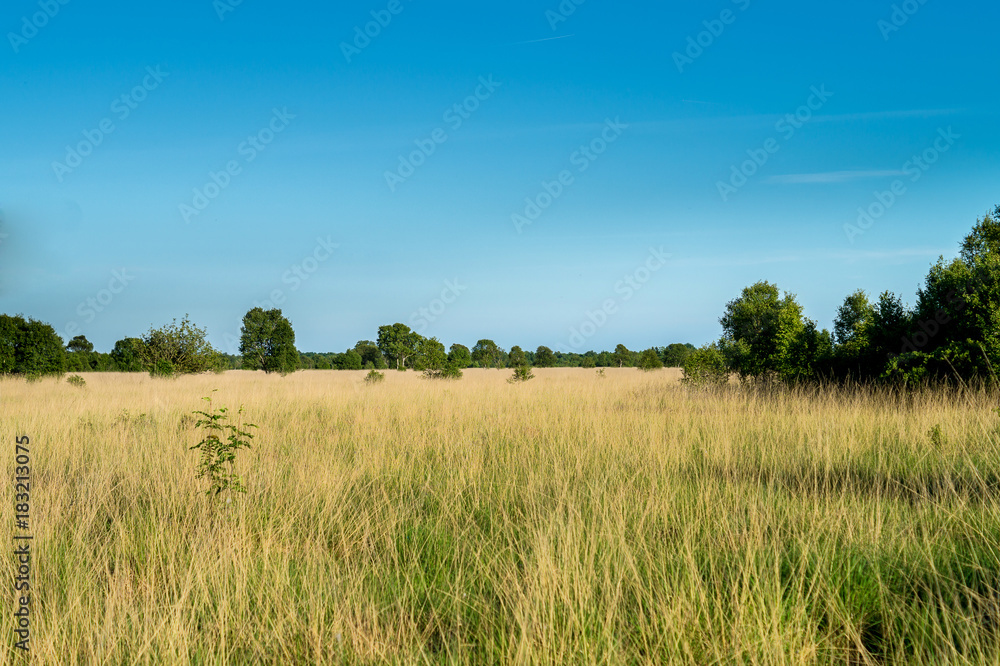 Niedersachsen - Ostfriesland - Naturschutzgebiet Ewiges Meer bei Aurich.