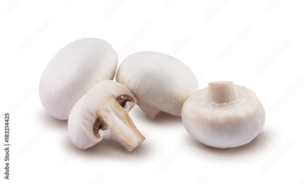 Champignons are isolated on a white background