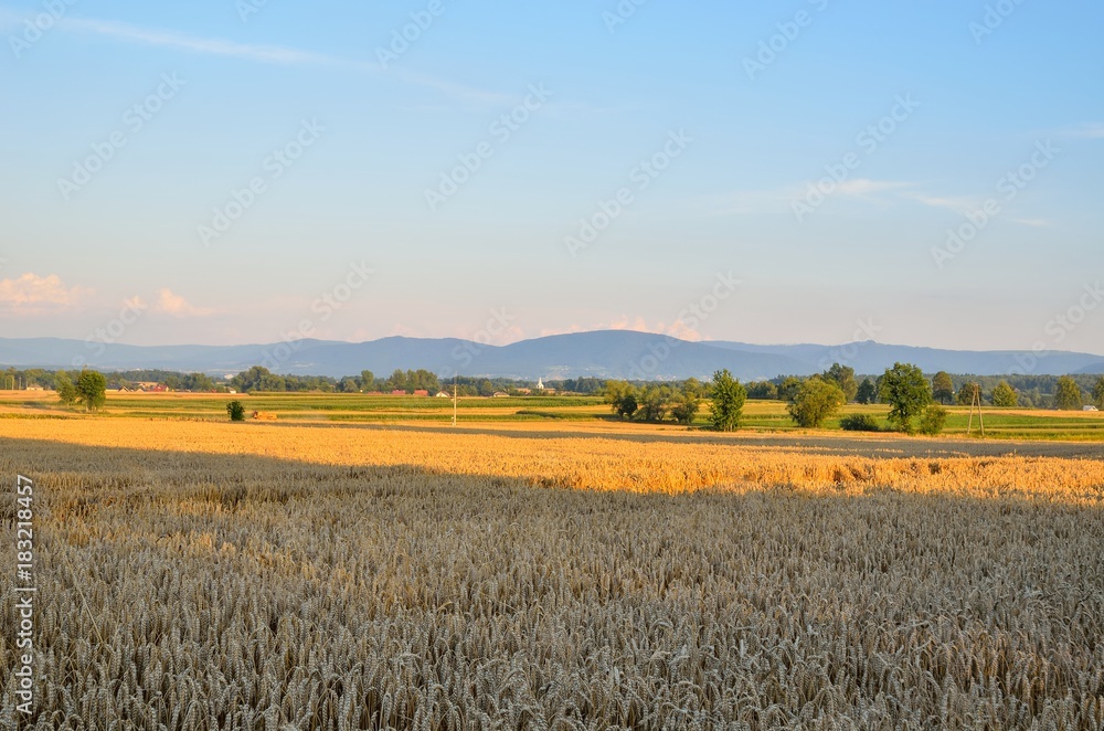 Summer afternoon landscape. Beautiful rural scenery with mountains in the background.