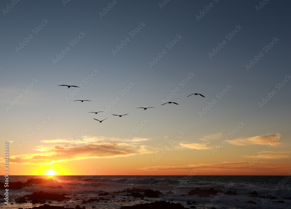Pelicans flying in a V-Formation towards a moody sunset in the Pacific Ocean near Monterey Bay in California. 