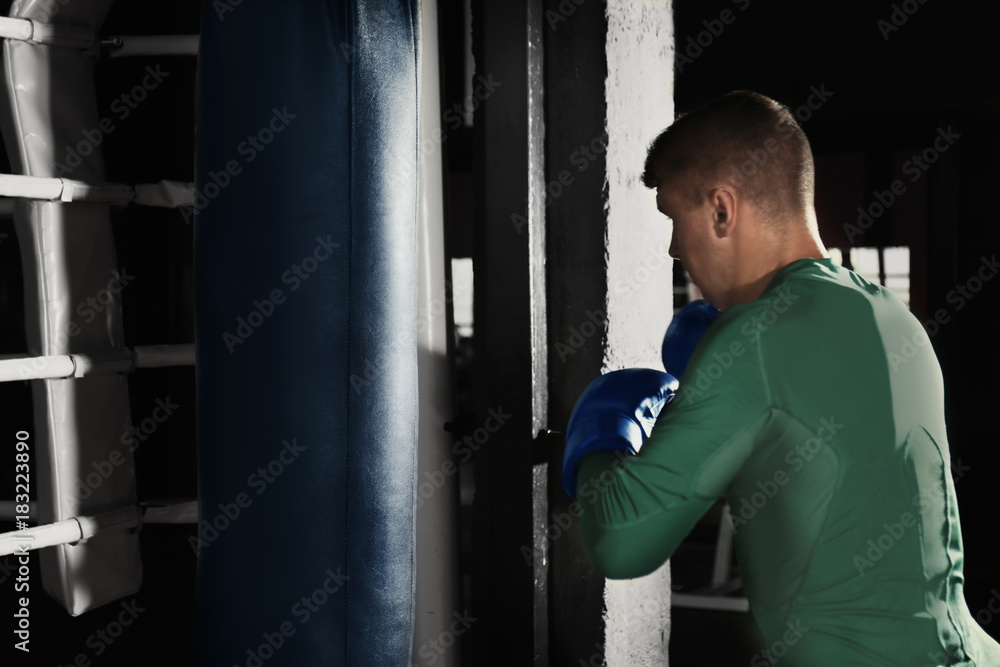 Young professional boxer training with punching bag in gym Young professional boxer training with punching bag in gym