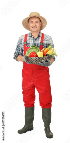 Agronomist with healthy veg...