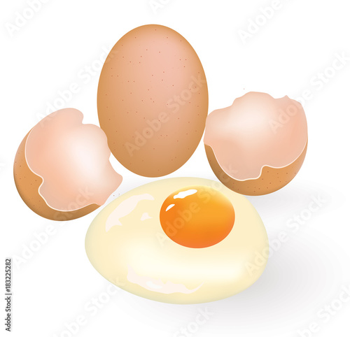 One whole and one cracked egg, vector
