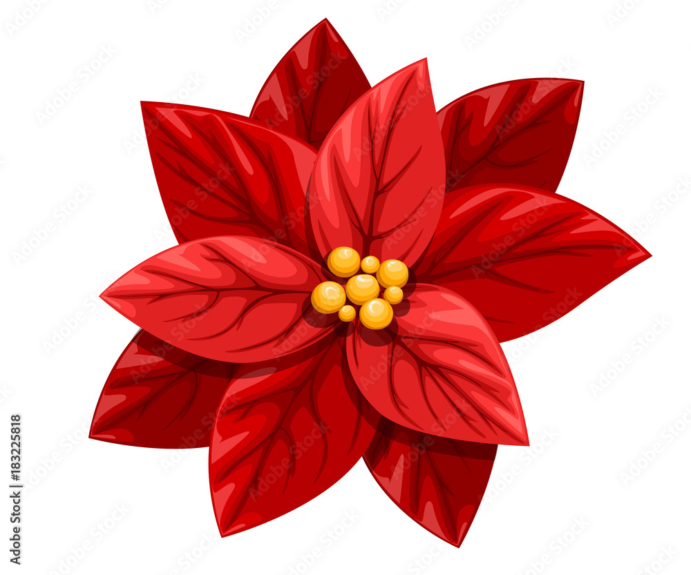 A beautiful red flower for 2025 christmas